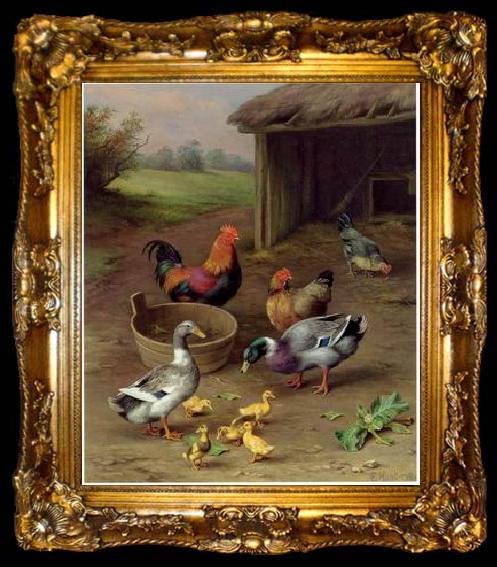 framed  unknow artist Poultry 077, ta009-2
